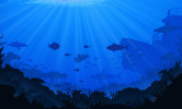 1640158446_codeflingreef.gif.aa9d4565029181a7781efcee23a32558.gif