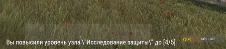 111.webp