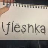 Fleshka