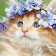 отшибнутый