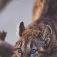 Владимир Николаевич