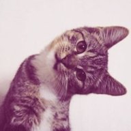 Диммммамама