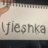 Fleshka